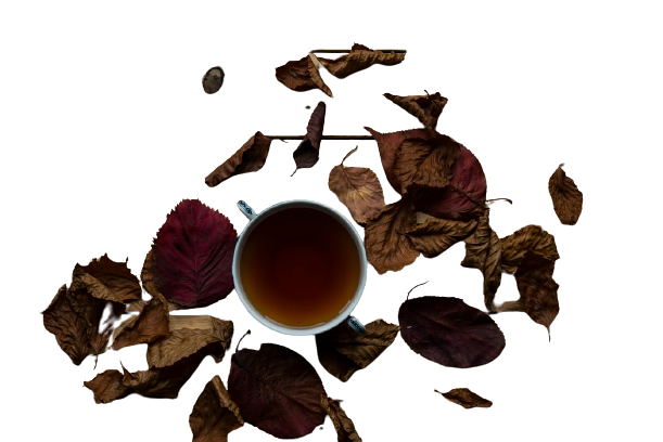 Top view of tea cup and tea leaves